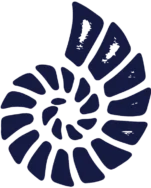 Image module