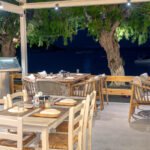 From Sea to Table: How Kalymnos Fishermen Catch